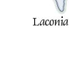 Laconia
